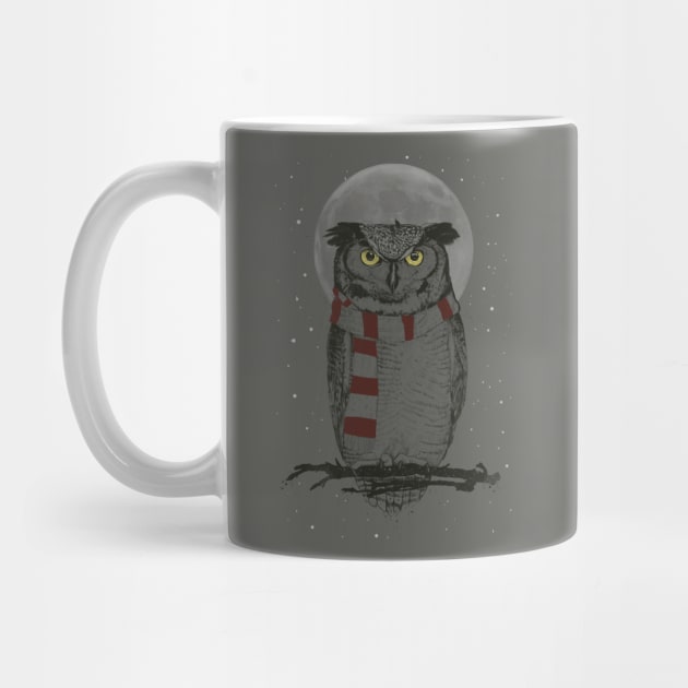 Winter owl by soltib